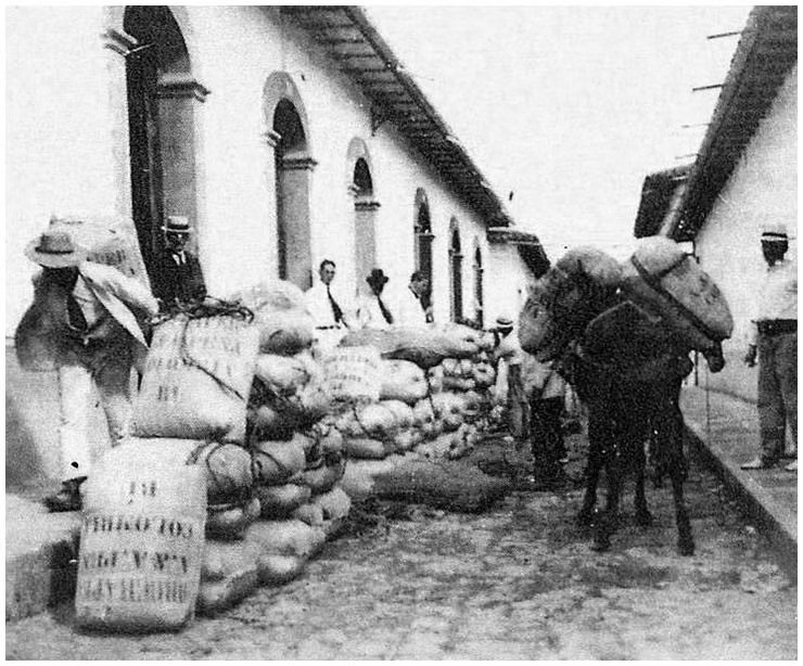 Кофейные фермы Колумбии в 1920-х годах: как мелкие фермеры создали кофейную экономику страны