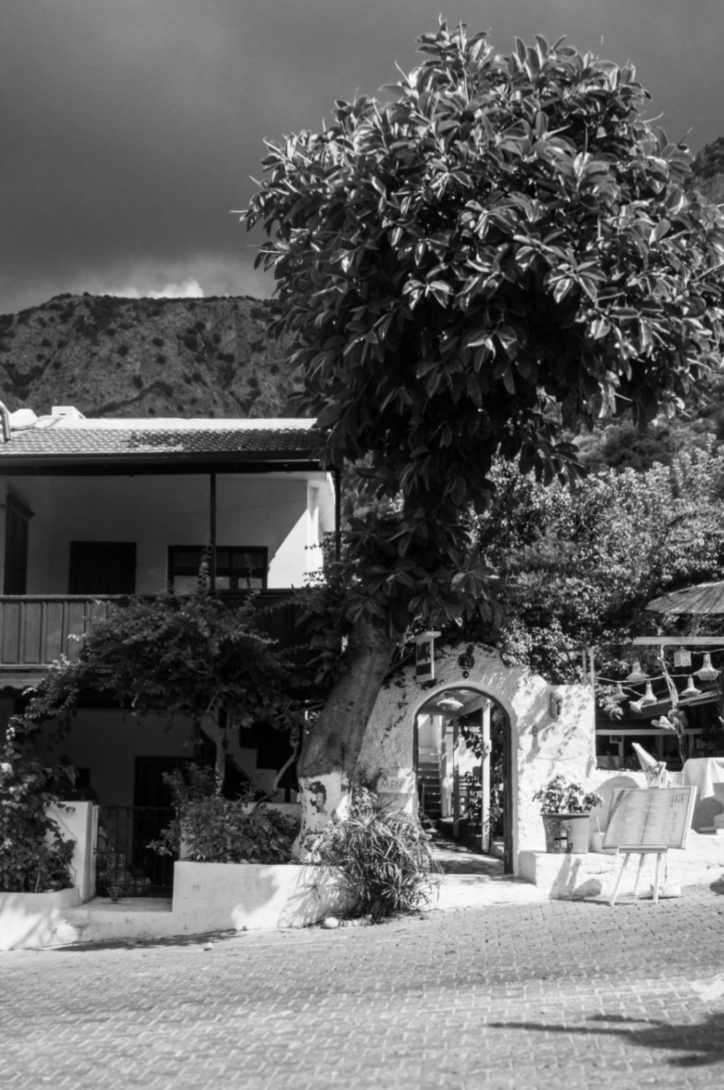 inner1773925546339pexels-aysegul-aytoren-46790226-29673663.jpg
